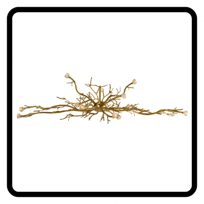 Pieter Adam TWIGGY PA 872