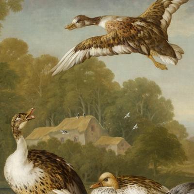 Pieter Frans Casteels A Pair of Paintings