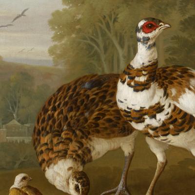 Pieter Frans Casteels A Pair of Paintings