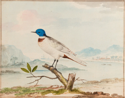 Pieter Holsteyn A BLUE HEADED TERN IN AN ESTUARY LANDSCAPE