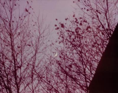 Pink Toned Color Photograph Of The Moon At Dusk