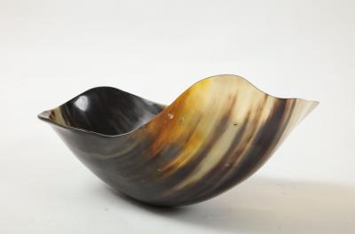 Polished Horn Vessel