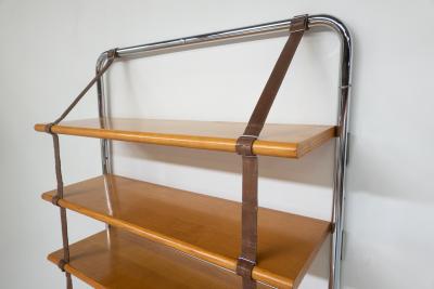 Poltrona Frau Jumbo Bookcase by Luigi Massoni for Poltrona Frau