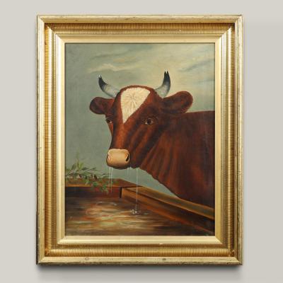 Portrait of a Cow at a Trough