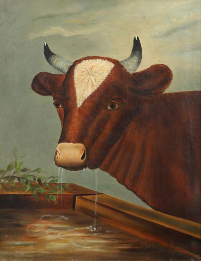 Portrait of a Cow at a Trough