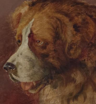 Portrait of a Saint Bernard England circa 1880