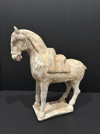 Pottery Horse Tang Dynasty 518 906 A D TL tested