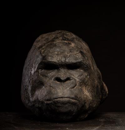 Primal Echo Sculpted Gorilla Head in burned Clay