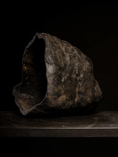 Primal Echo Sculpted Gorilla Head in burned Clay