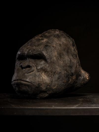 Primal Echo Sculpted Gorilla Head in burned Clay