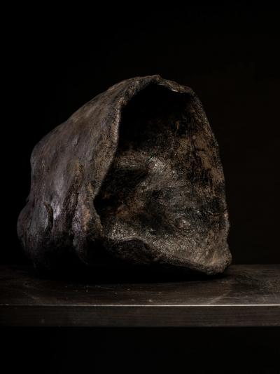 Primal Echo Sculpted Gorilla Head in burned Clay