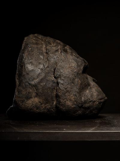 Primal Echo Sculpted Gorilla Head in burned Clay