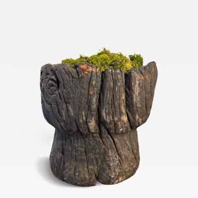 Primitive Stump