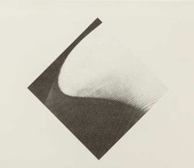 Print by Carol Bove 2014