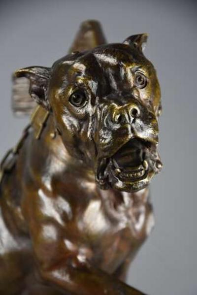 Prosper Lecourtier Fine quality 19thc French bronze figure of a Boxer dog by Prosper Lecourtier