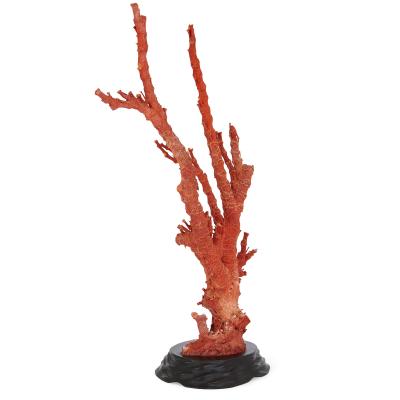 Qing dynasty antique Chinese red coral specimen