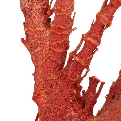 Qing dynasty antique Chinese red coral specimen