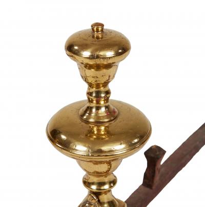 Queens Head Andirons