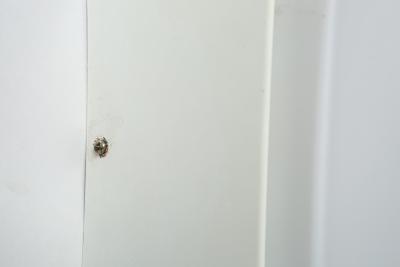 RAAK Midcentury modern sconces by RAAK Amsterdam