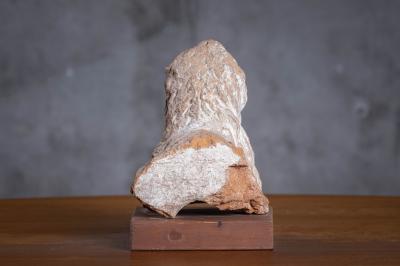 ROMAN TERRACOTTA SPOUT IN THE FORM OF A LION S TORSO