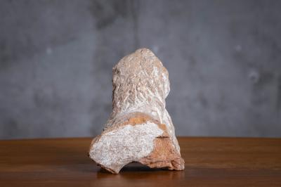 ROMAN TERRACOTTA SPOUT IN THE FORM OF A LION S TORSO