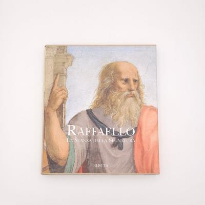 Raffaello La Stanza della Segnatura 2002