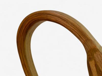 Raka Studio Contemporary Organic Modern Flower Table Lamp Bentwood 21st C 