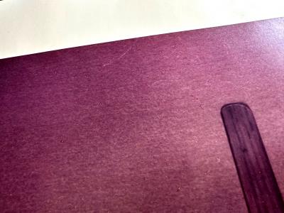 Ralph Gibson Chromogenic Photograph by Ralph Gibson Signed and Dated