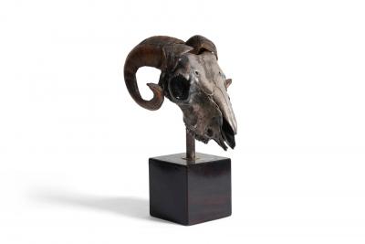 Rams Skull Silver Plated