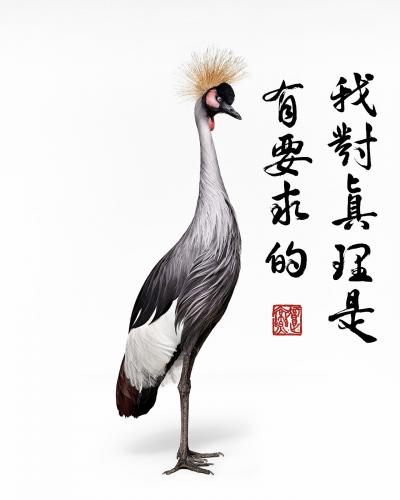 Randal Ford African Crane Collaboration with Steven C Rockefeller Jr 