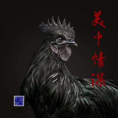 Randal Ford Ayam Cemani Rooster Collaboration with Steven C Rockefeller Jr 