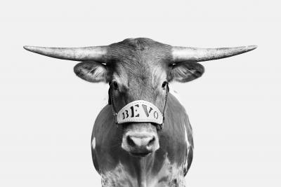 Randal Ford Bevo XV BW 
