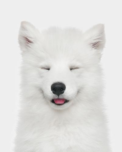 Randal Ford Janis Joplin