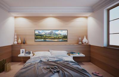 Randy Hayashi Pyramid Scheme