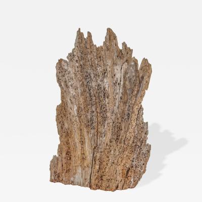 Rare 300 Year Old Natural Cypress Sculpture