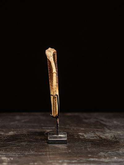 Rare Ceremonial Hippocamp Bracelet mounted on a custom metal stand Oceania