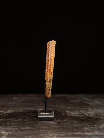 Rare Ceremonial Hippocamp Bracelet mounted on a custom metal stand Oceania