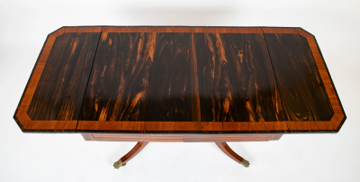 Rare Early 19th Century Regency Banded Calamander Library