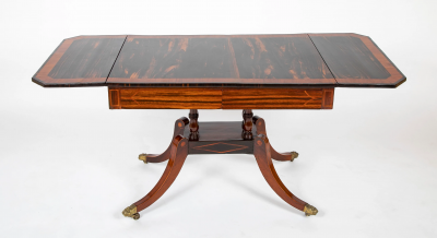 Rare Early 19th Century Regency Banded Calamander Library