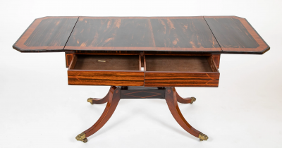 Rare Early 19th Century Regency Banded Calamander Library