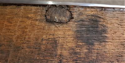 Rare Late Medieval 16th Century German Wrought Iron Oak Chest or Stollentruhe