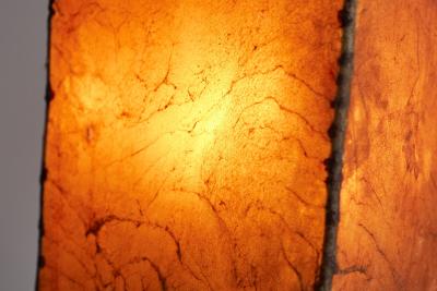 Rare Mid Century Table Lamp in Goatskin and Wrought Iron 1950s