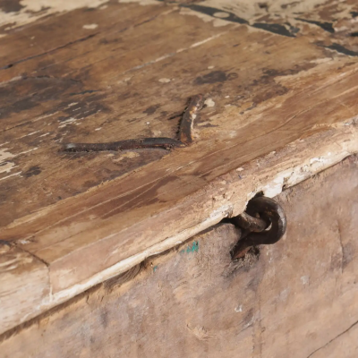 Rare Painted Cassone Marriage Chest 