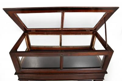 Rare Pair of Anglo Indian Teak Vitrine Display Tables Cabinets 19th century