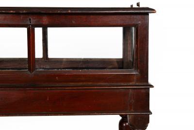 Rare Pair of Anglo Indian Teak Vitrine Display Tables Cabinets 19th century