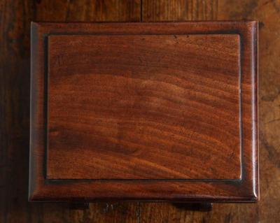 Rare Pair of Georgian Dresser Stools