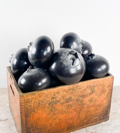 Rare and Large Trompe l il Bronze Monster Blueberries by Popliteo