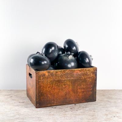 Rare and Large Trompe l il Bronze Monster Blueberries by Popliteo