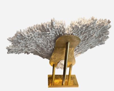 Rare and important white coral on it brass base France circa 1970
