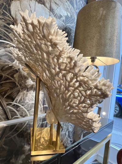 Rare and important white coral on it brass base France circa 1970